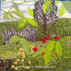 C26 - WP_20160218_011