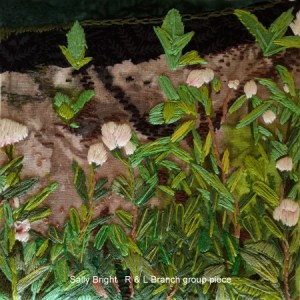 e25 - 20160410_125213