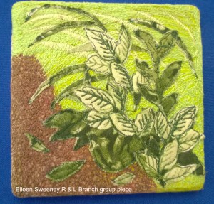 F11 - WP_20160218_039