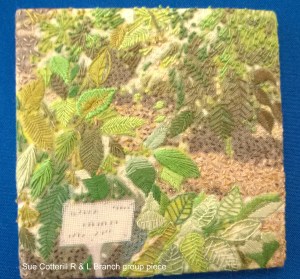 F12 - WP_20160218_035