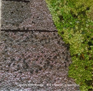 F17 - WP_20160218_023